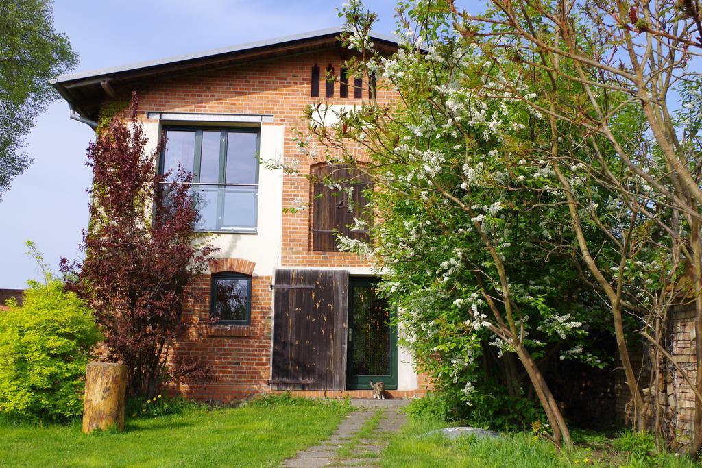 Haus Am See In Kleinzerlang Room photo